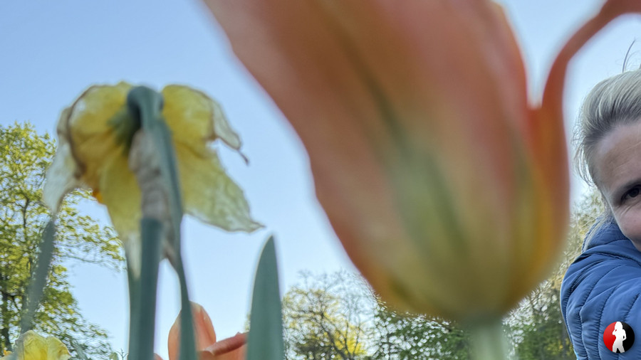 Mix w***s mit Steffi